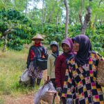 Pemberdayaan Perempuan di Pedesaan: Meningkatkan Peran dan Kualitas Hidup